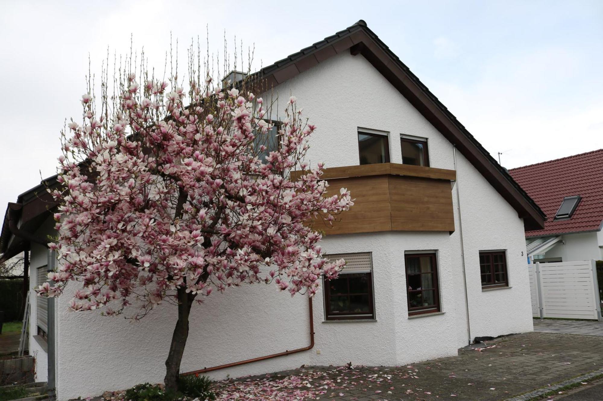 Ferienwohnung In Bempflingen Dış mekan fotoğraf